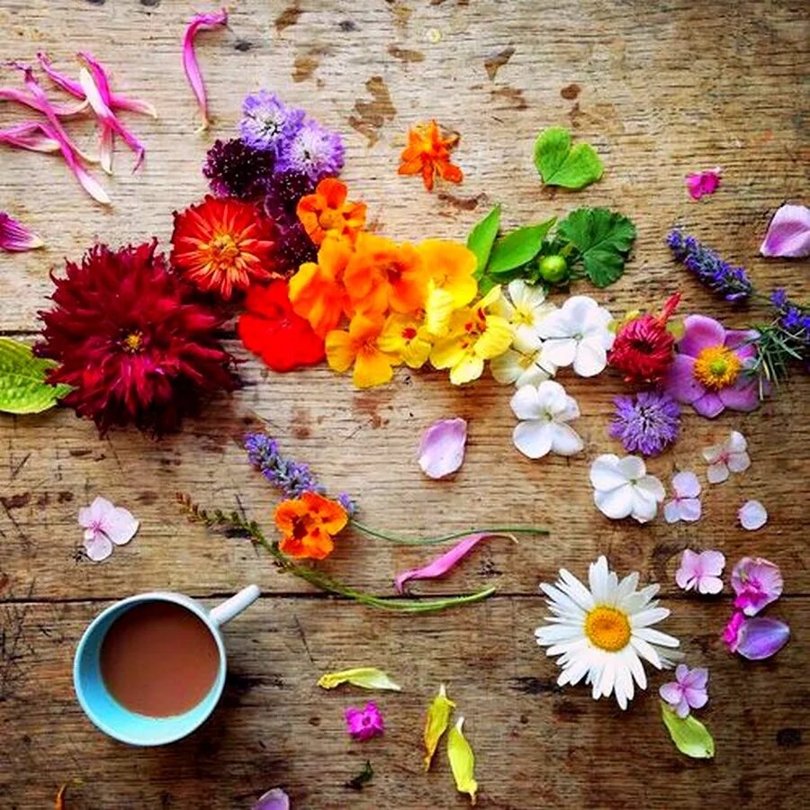 Украсить настроение. Яркие цветочки. Яркое утро. Стильные яркие цветы. Цветочное настроение.