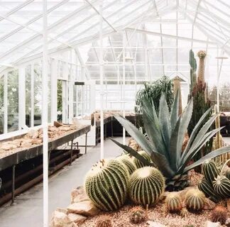 Plants 2015