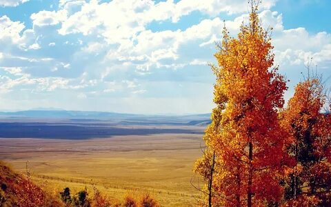 Какая бывает земля осенью