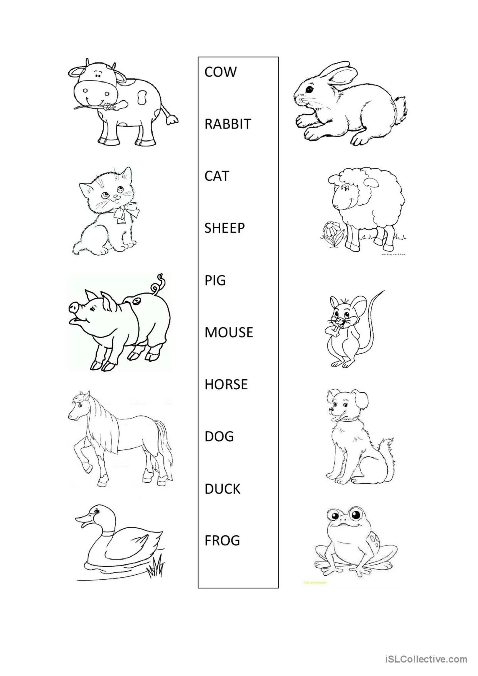 Домашние животные на английском задания. Задания по английскому языку домашние животные. Домашние животные на английском для детей задания. Worksheets животные. Задания про животных английский