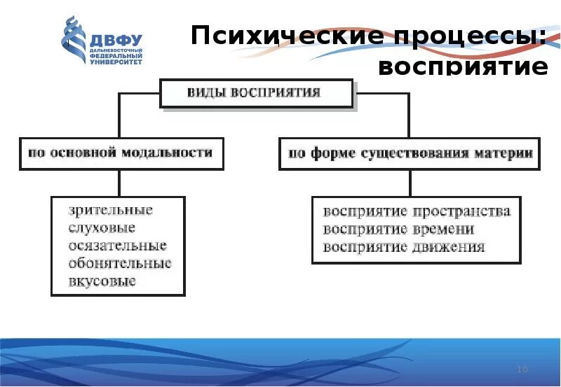 Восприятие как психический процесс. Психологические процессы восприятия. Восприятие психический познавательный процесс. К психическим процессам относятся. Класс психические процессы