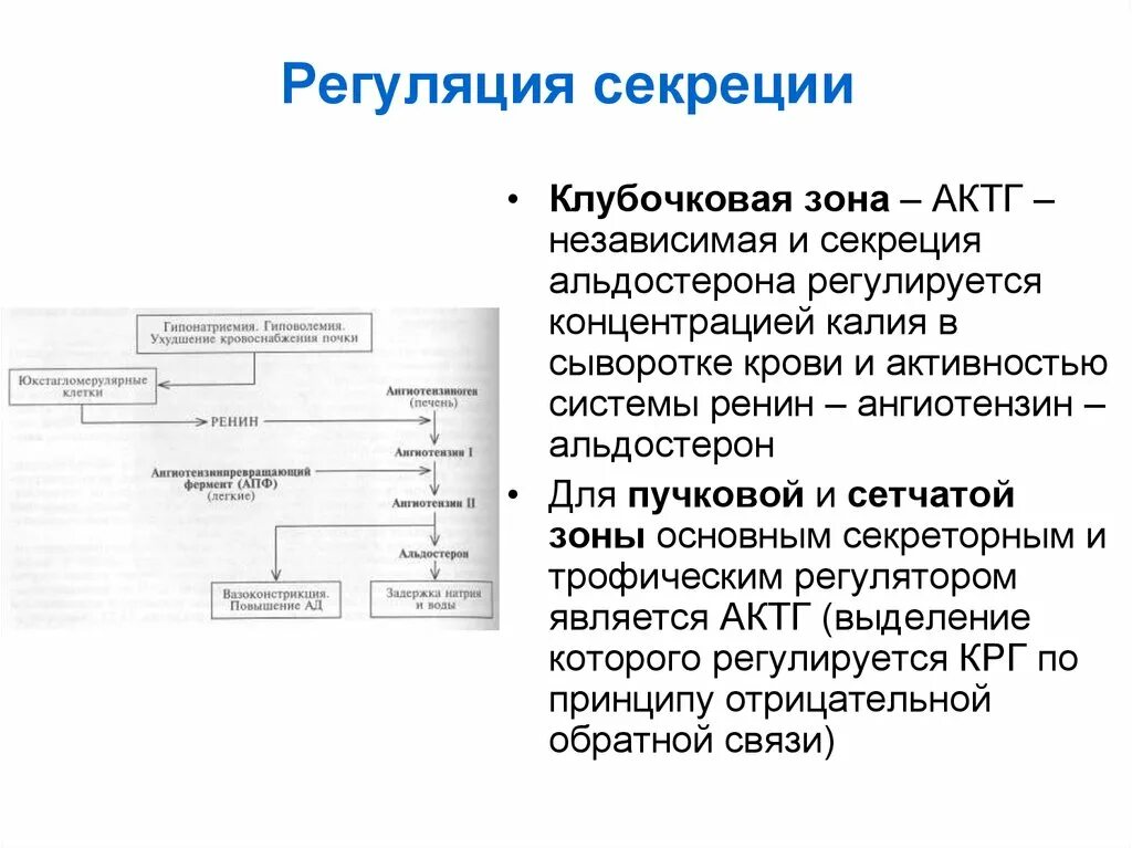 Инкреция это