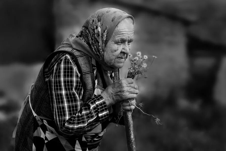 бабушка в поле. старушка с корзинкой. бабушка на поле ыоткитстарые. сбор лекарственных трав. поле бабушки.