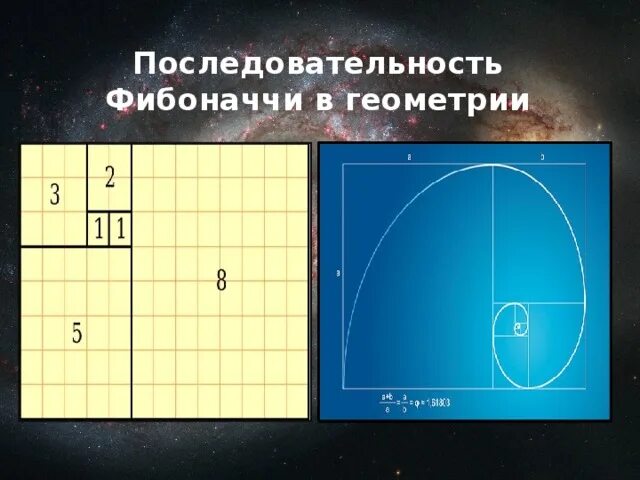 Числовая последовательность фибоначчи. Последовательность фибоначчи. последовательность трибоначчи это.