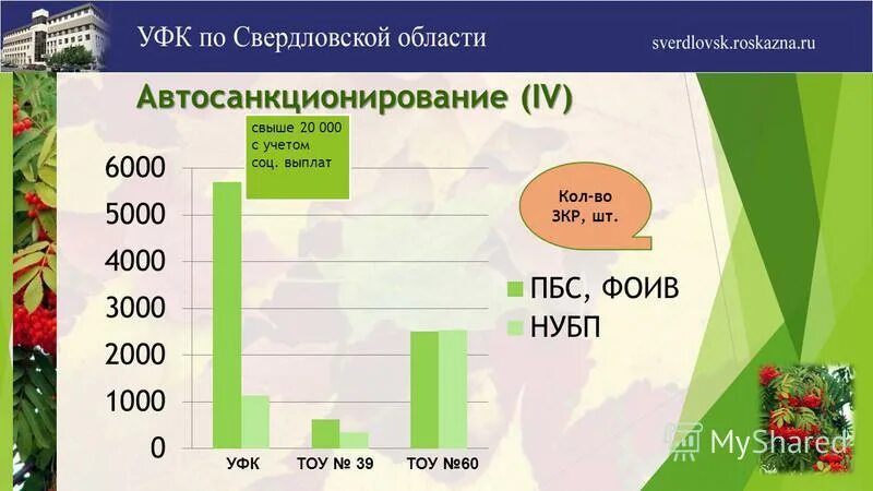 Социальные выплаты по свердловской области. Автосанкционирование это. Что такое Автосанкционирование средств УФК.