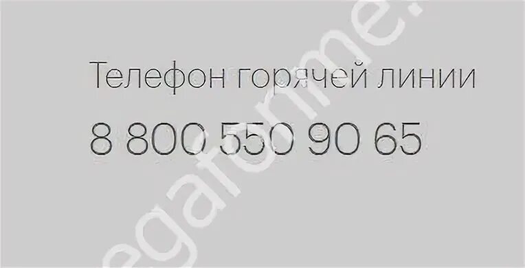 Иви телефон горячей 8800