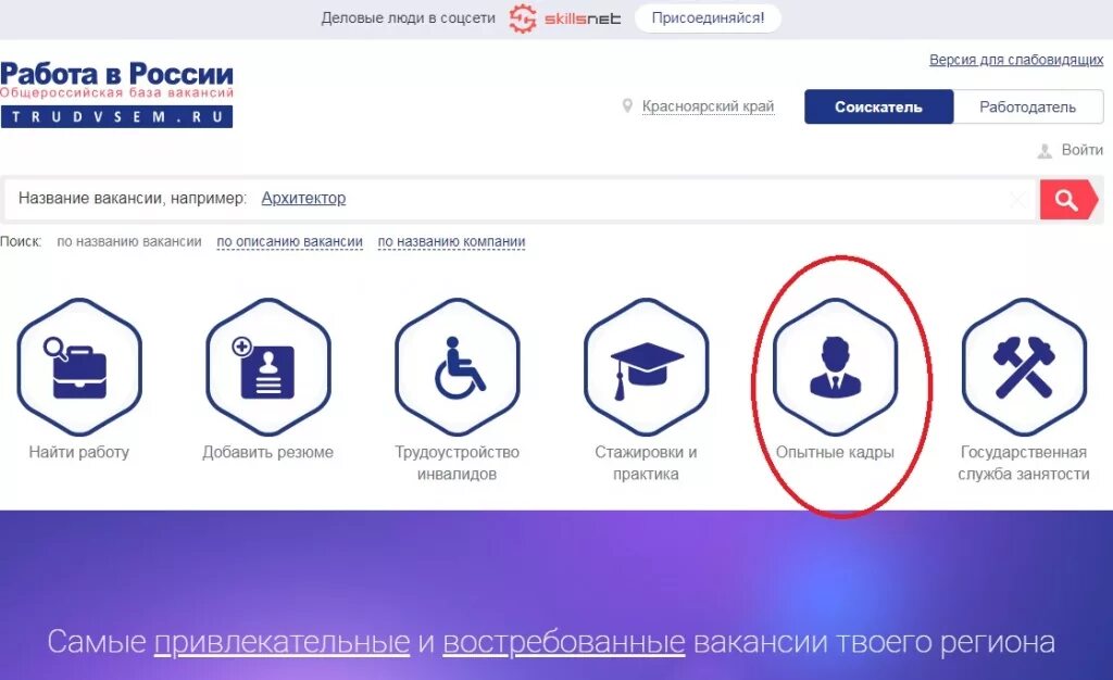 Портал работа в России. Портал работа в России Старая версия. Trudvsem. Фон портал работа в России.