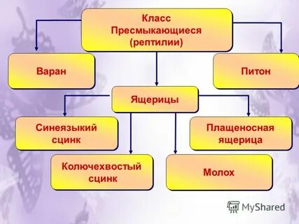 Презентация биология комплексная наука 10 класс