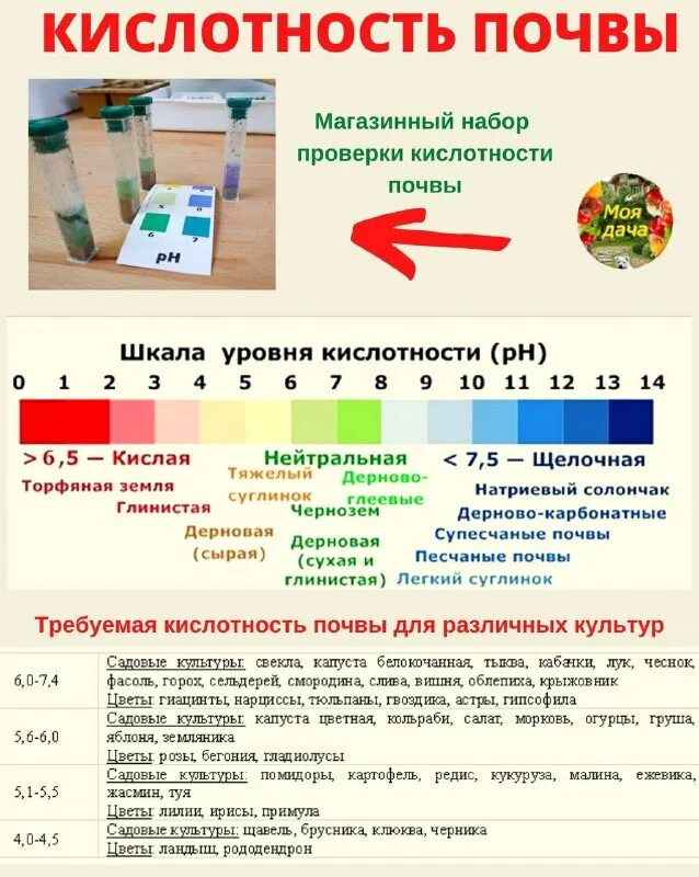 кислотность почвы для растений. растения индикаторы кислых почв. Ph почвы 8. рн шкала кислотности и щелочности почвы. степень кислотности почвы.