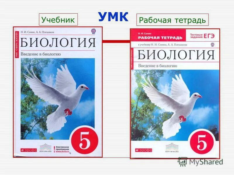 учебник. школа россии изо. прописи умк начальная школа 21 века 1 класс. умк рабочая тетрадь. умк по биологии 8 класс.