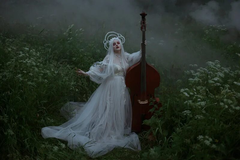 Над образами. Notman: Visionary photographer.