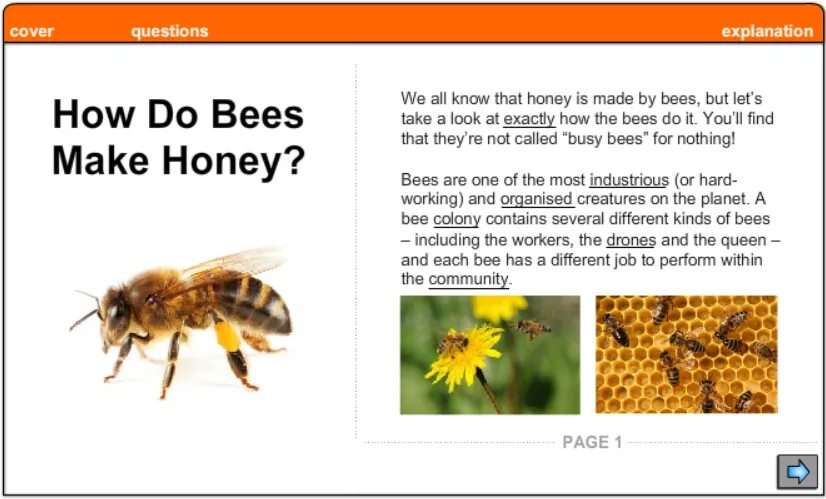 Перевод на английским языком bees. How bees make honey. bees make honey worksheets. how bees make honey easy. кокни bees and honey.