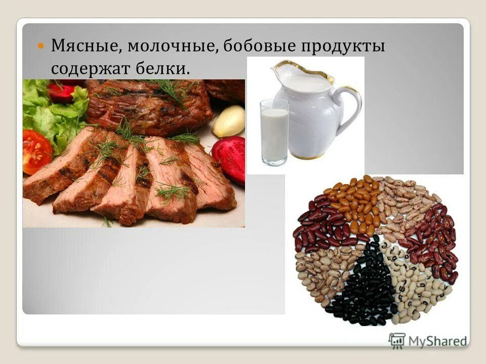 белковая пища. белковые продукты. белковое отравление. белок в еде. не есть мясо и молочные продукты.