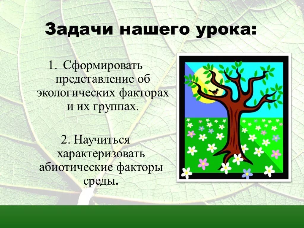 Экологические факторы тест. Экологические факторы 5 класс биология. Задания по экологическим факторам. Абиотические факторы организменной среды. Факторы среды задания.