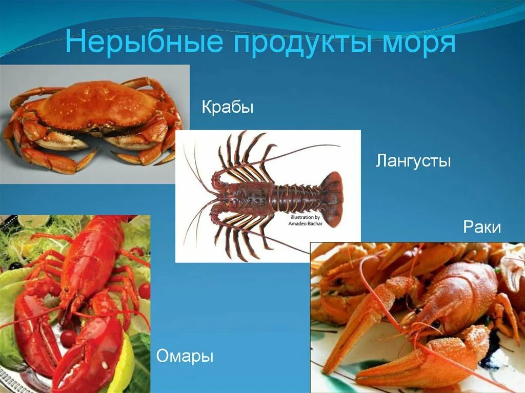 Классификация нерыбных продуктов. Нерыбные продукты моря. Презентация на тему морепродукты. Перечислите нерыбные продукты.