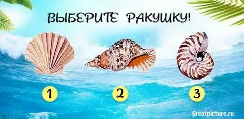 Тест ракушки