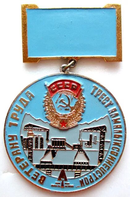 Ветеран военной службы картинки. Значок ветеран труда сибэлектросетьстрой. Значок "ветеран цгв". Ветеран труда сахалинской. Ветеран труда сахалинской.