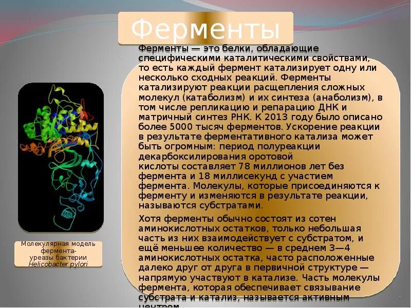 Фермент уреаза. Регуляторы биомолекулярных процессов таблица. Регуляторы биохимических процессов. Уреаза класс ферментов. Молекулярная модель фермента-уреазы бактерии Helicobacter pylori.