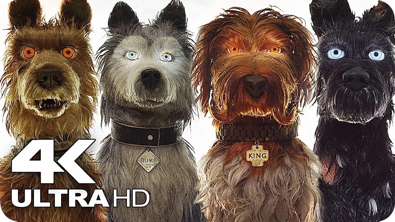 Filmová recenze: Psí ostrov / Isle of Dogs - YouTube