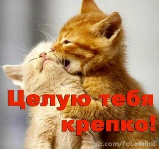 Пр целую. Пр целую