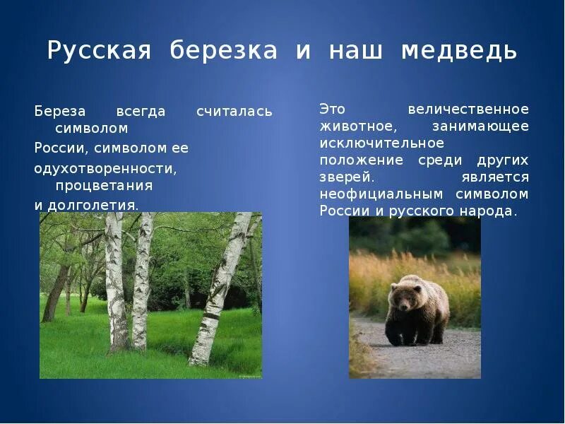 Неофициальный символ россии медведь. Медведь символ России. Символы России медведь и берёза. Неофициальные символы России береза. Неофициальные символы России береза и медведь.