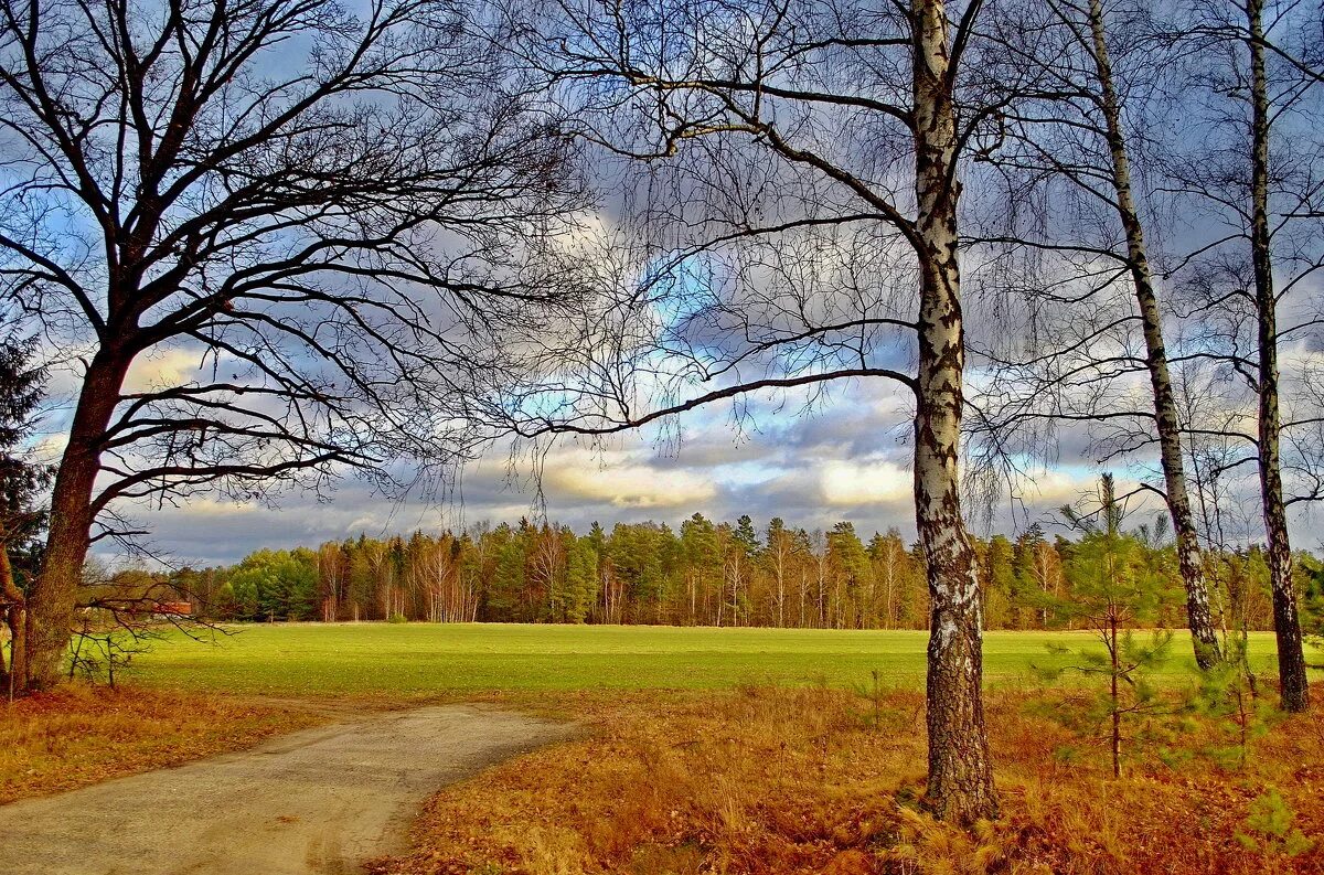 Картинки поздней. Поздняя осенняя природа. Октябрь поздняя осень. Рязанская природа поздняя осень. Поздняя западноевропейская осень природа.