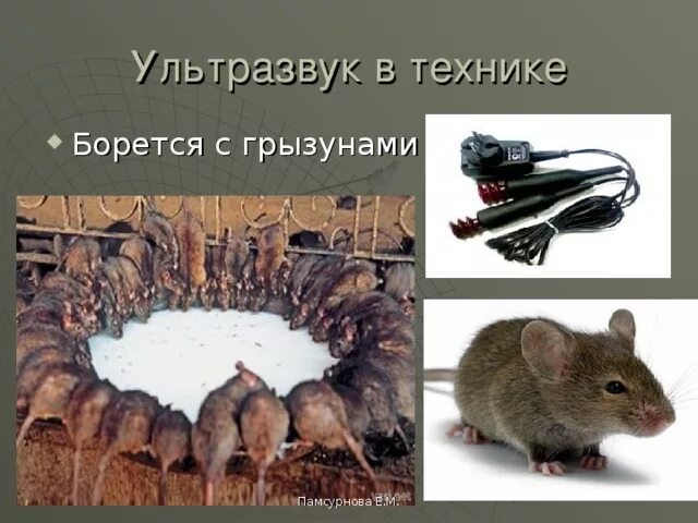 Ультразвук в быту. Ультразвук в быту