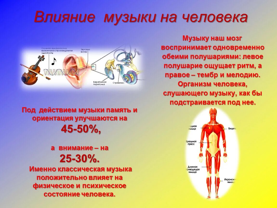 Влияние музыки на человека. Как музыка влияет на человека. Влияние музыки на здоровье человека. Влияние музыки на организм человека. Звук организма слушать