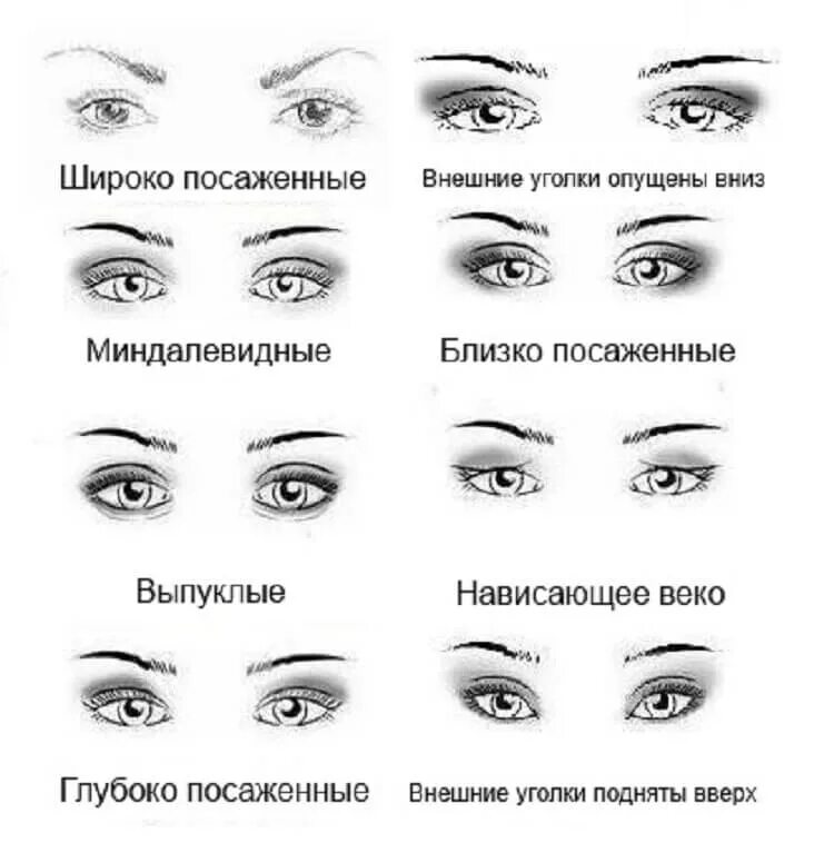 Как узнать какое веко