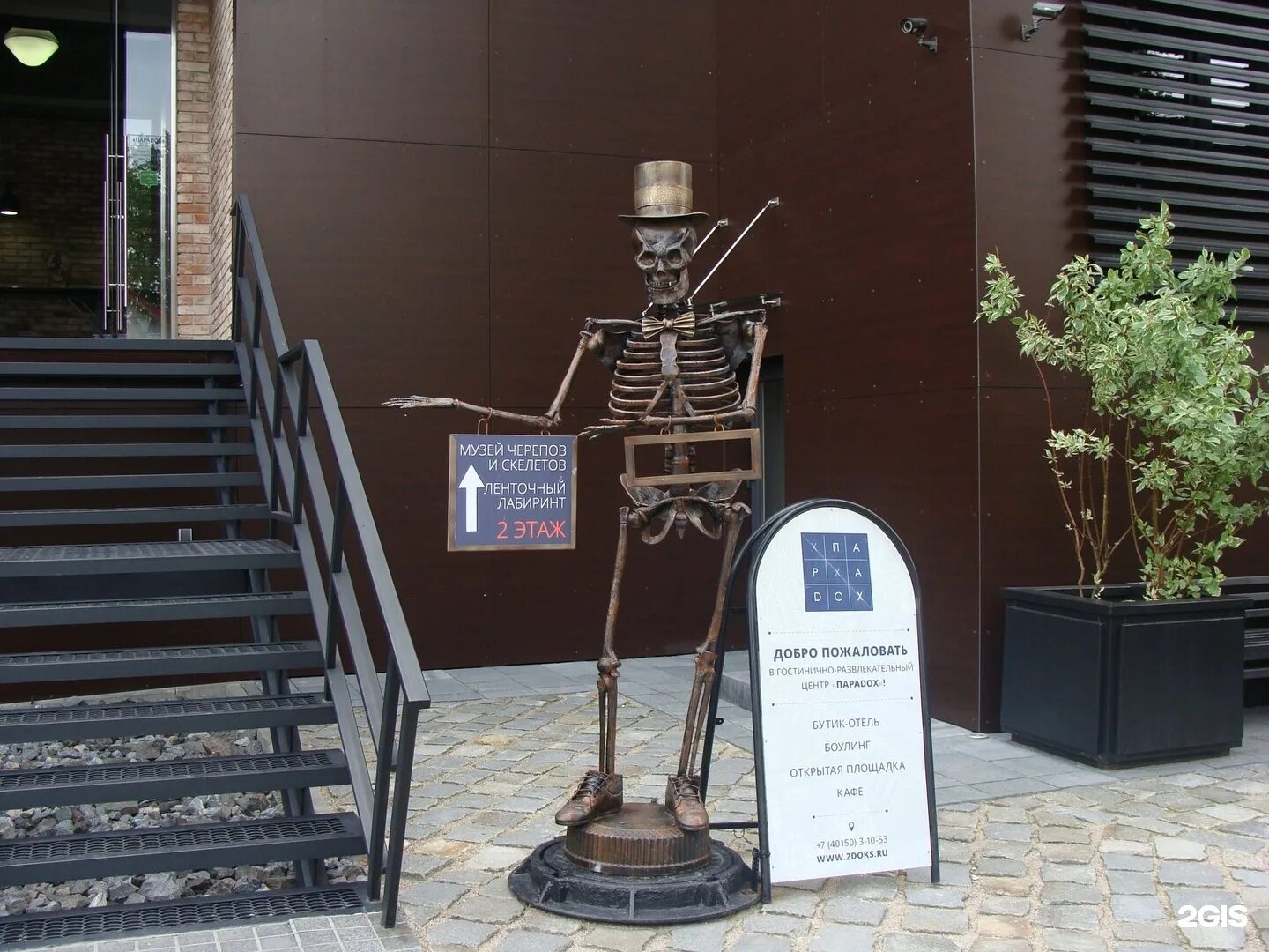 Музей черепов в зеленоградске. Музей черепов и скелетов зеленоградск. Музей скелетов в зеленоградске. Музей скелетов в зеленоградске. Музей черепов и скелетов в зеленоградске калининградской области.