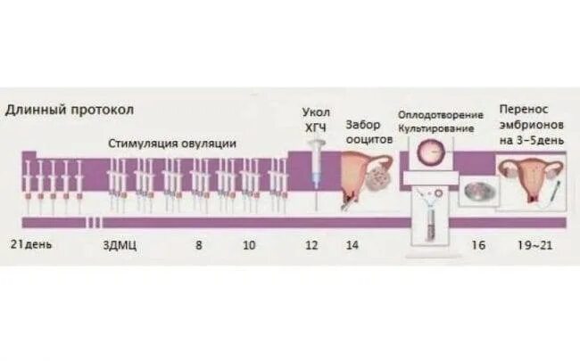 Планирование беременности овуляции. Длинный протокол на диферелине 3.75 схема. Схема препаратов короткого протокола эко. Эко протокол схема гонал. Схема уколов в коротком протоколе эко.