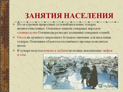 Жизнь и деятельность человека в тундре