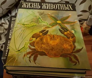 Жизнь животных том 2