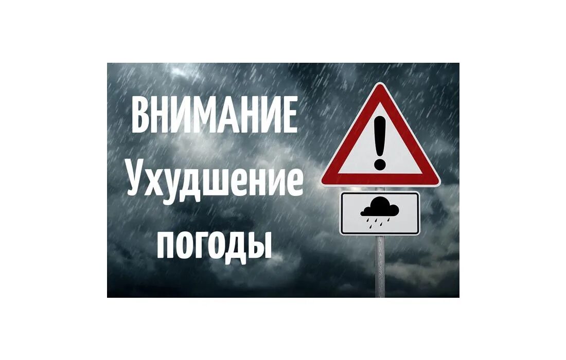 ожидаются осадки. центральная россия заливает дождями. статусы про дождь. обратил внимание на дождь. человек под дождем.
