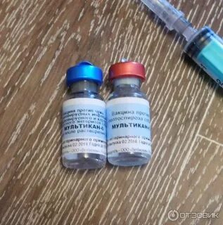 Прививка мультикан 6