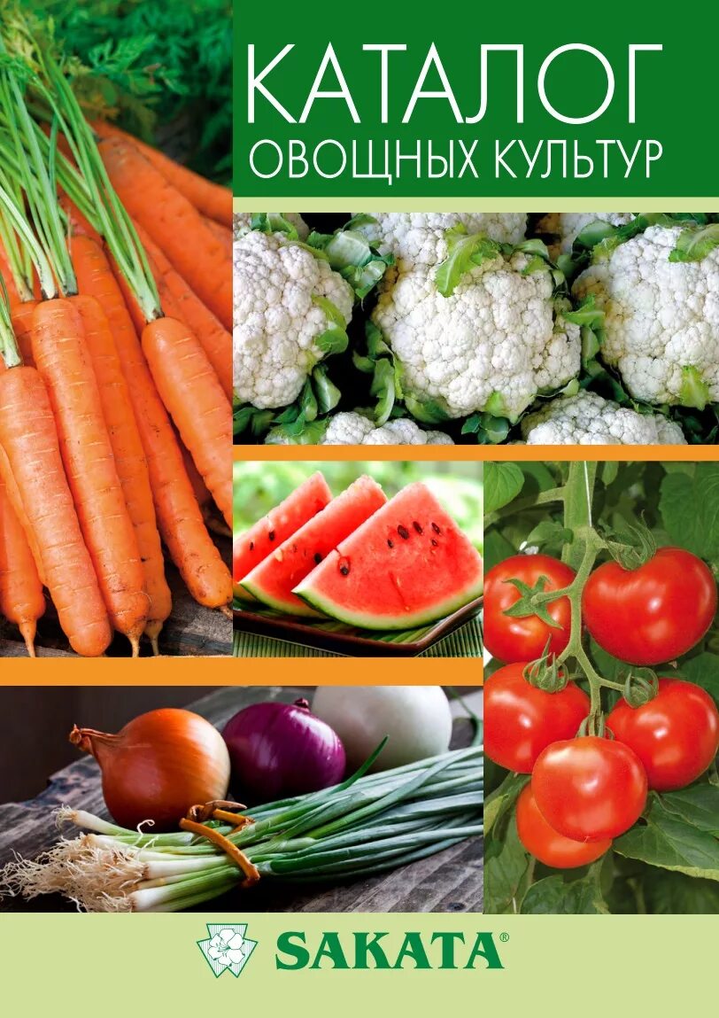 Семена овощей цена. Семена овощей. Каталог семян. Каталог овощей. Семена овощных культур.