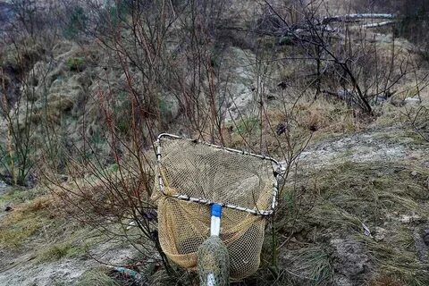 Любитель ловли янтаря