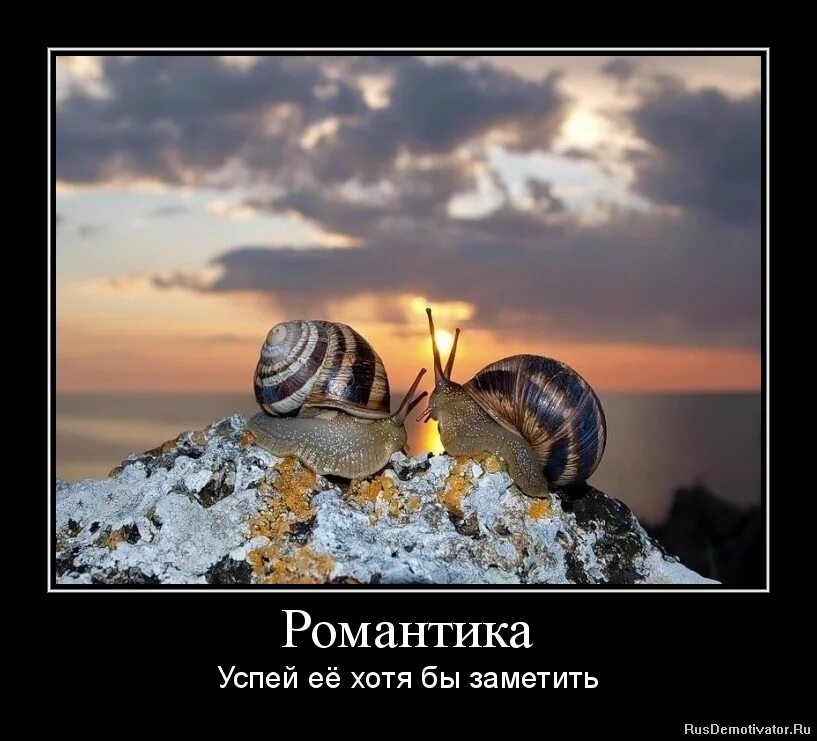 Романтический юмор. Приколы про романтику. Романтические шутки. Романтический юмор. Романтический вечер.