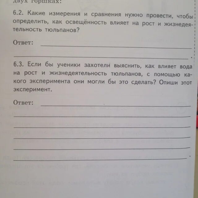 Какие наблюдения и сравнения необходимо проводить алине