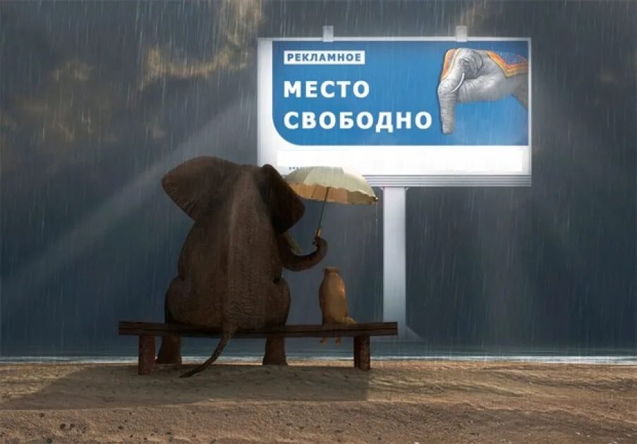 Два свободных места. Рекламное агентство два слона Ярославль. Слоны в рекламе. Реклама два слона Ярославль. Место для рекламы свободно.