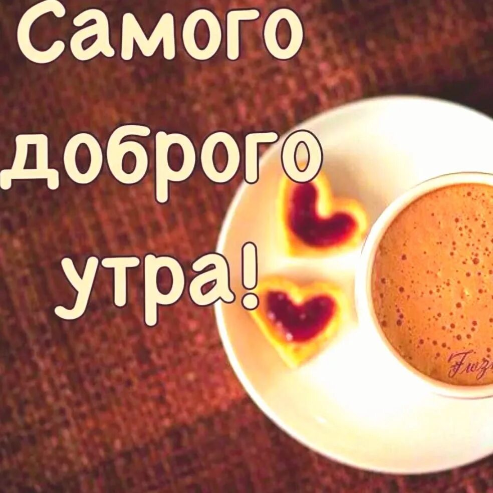 Кролик - капучино Пикабу