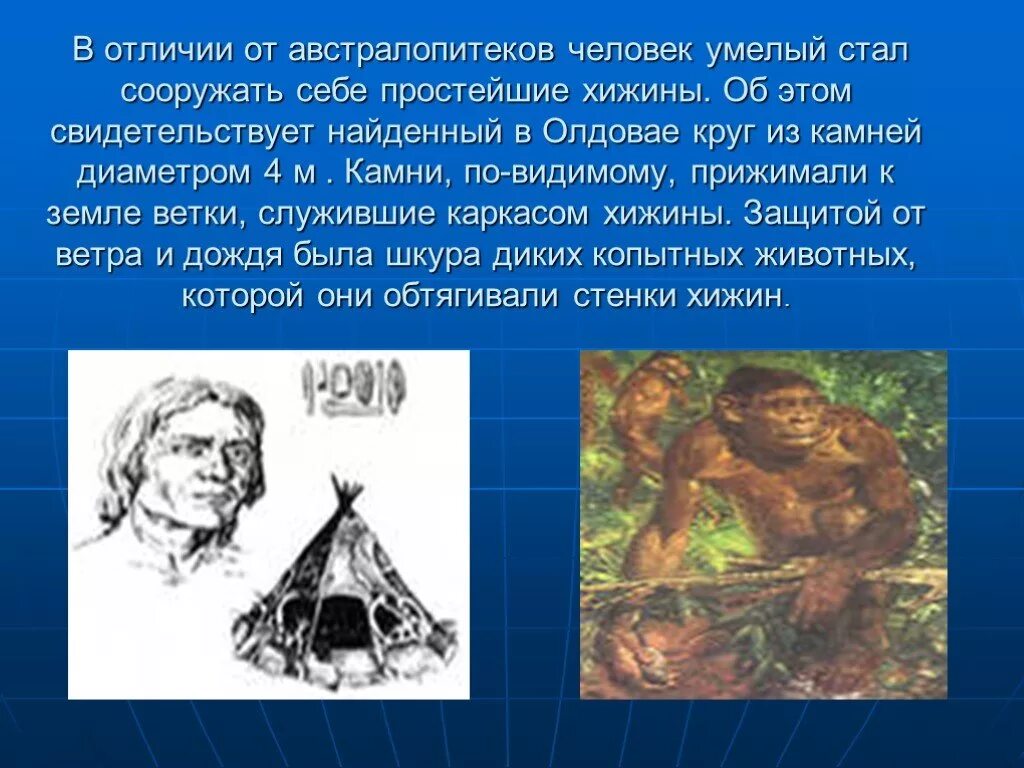 Внешний облик австралопитека. Чем человек умелый отличается от австралопитека какие. Внешний облик человека умелого. Человек умелый характеристика. Чем человек умелый отличается от австралопитека какие.
