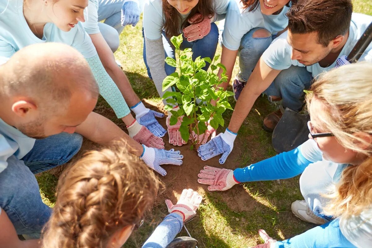 Волонтеры природы. Экологическое волонтерство. Детям об экологии. Экологическое добровольчество.
