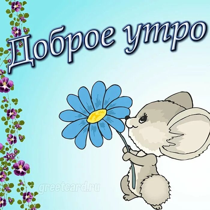 Доброе утро вторника март. Открытки вторник. Пожелания на вторник. Поздравления со вторником. Открытки с добрым утром прикольные.