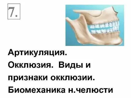Прикус виды прикуса артикуляция