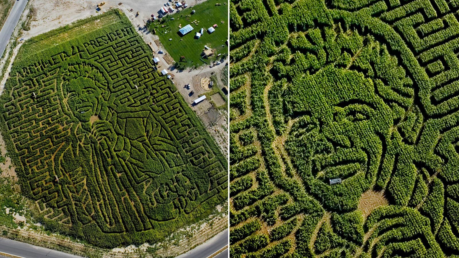 Лабиринт Davis' Mega Maze. Hampton Court Лабиринт. Этрусский Лабиринт в клюзиуме. Лабиринт вид сверху.