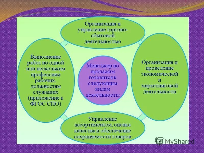 Управление торговой деятельностью. Управление торговой деятельностью