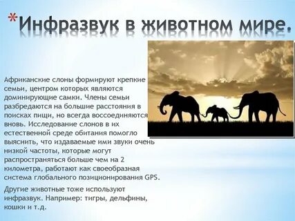 Примеры инфразвука в природе
