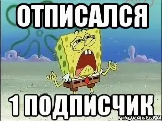 Подписчики отписка