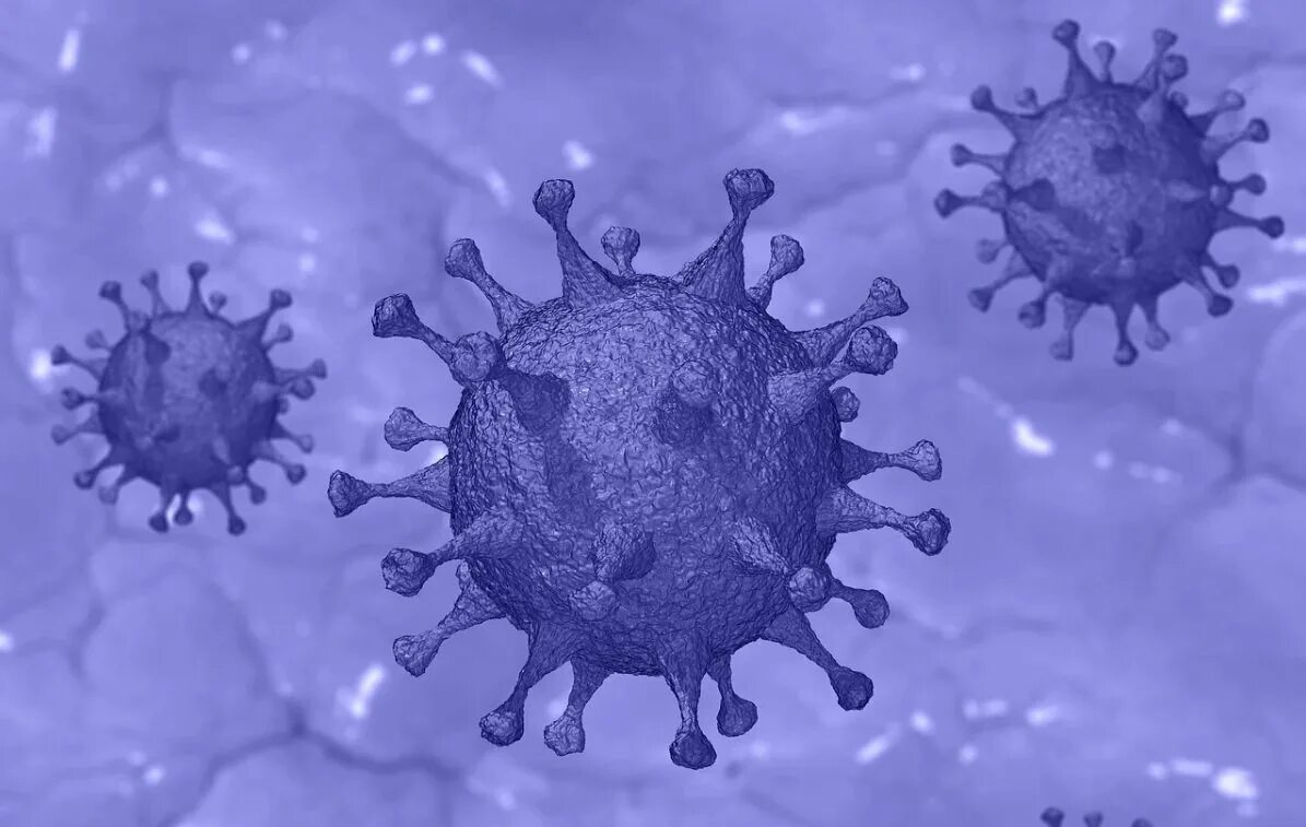 Ковид coronavirus. Коронавирус это инфекционное заболевание. Вирус ковид 19. Коронавирус действующее